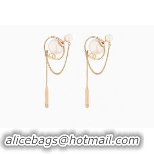 Best Luxury Dior Earrings CE4477