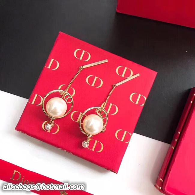 Best Luxury Dior Earrings CE4477