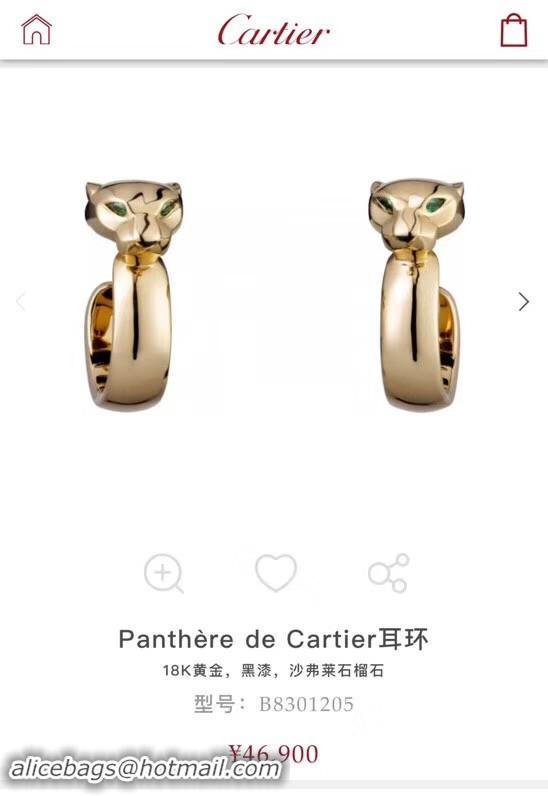 Fashion Cartier Earrings CE4097