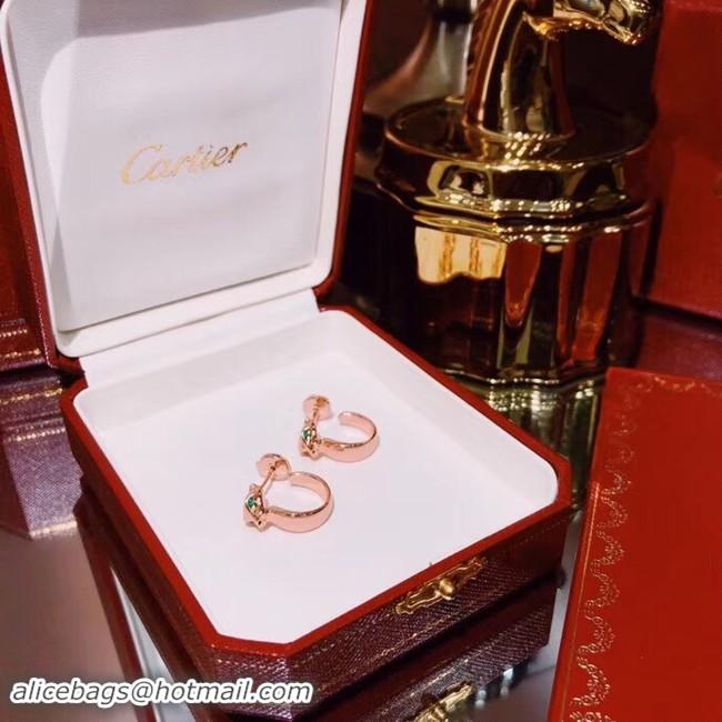 Fashion Cartier Earrings CE4097