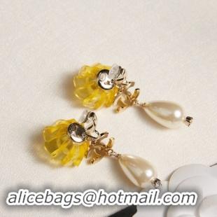 Discounts Chanel Earrings CE2034