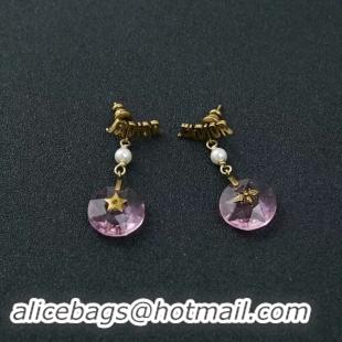 Sophisticated Dior Earrings CE2348