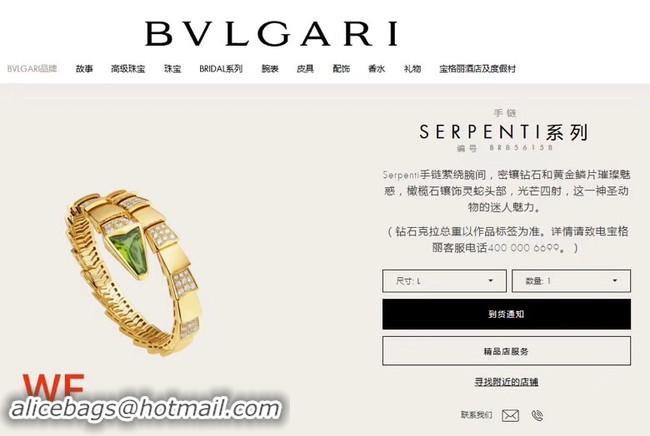 Luxury Bvlgari Bracelet CE3827