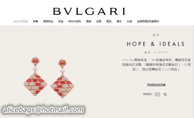 Cheap Bvlgari Earrings CE4074