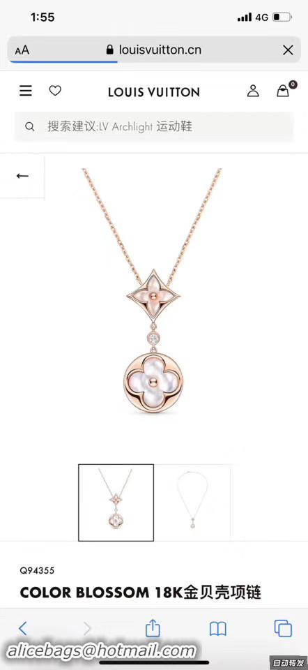 Luxury Louis Vuitton Necklace CE4476