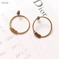 Luxury Dior Earrings CE3542