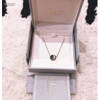 Luxury Dior Necklace CE3559