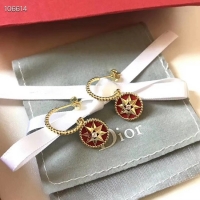 Fashion Dior Earrings CE3570