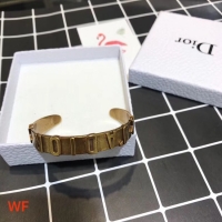 Unique Style Dior Bracelet CE3836