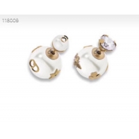 Most Popular Dior Earrings CE4067