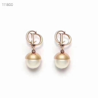 Original Cheap Dior Earrings CE4076