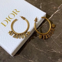 Perfect Dior Earrings CE4155