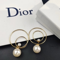 Fashion Dior Earrings CE4505