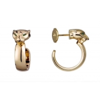 Fashion Cartier Earrings CE4097