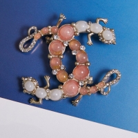 Luxury Classic Chanel Brooch CE2058