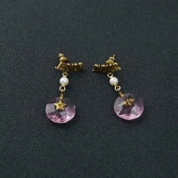 Sophisticated Dior Earrings CE2348