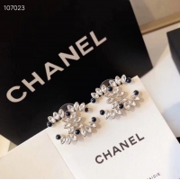 Fashion Chanel Earrings CE3596