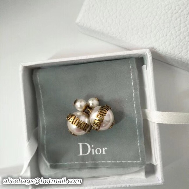 High Quality Dior Earrings 52889