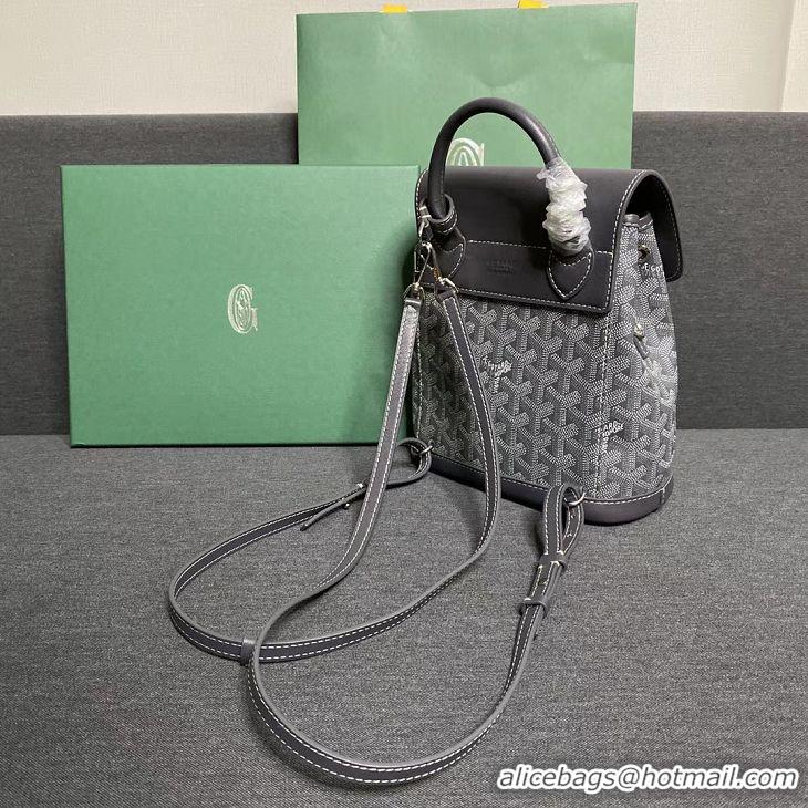 Free Shipping Goyard Original Alpin Backpack Mini G8710 Dark Grey