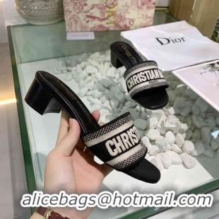 Classic Specials Christian Dior Slippers For Women #738080