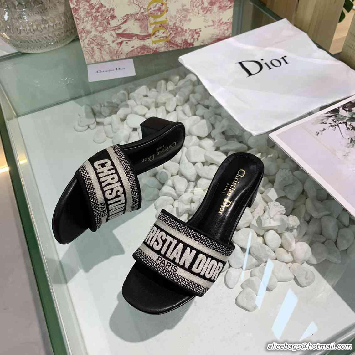 Classic Specials Christian Dior Slippers For Women #738080