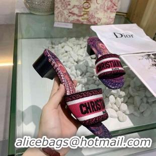 Perfect Christian Dior Slippers For Women #738081