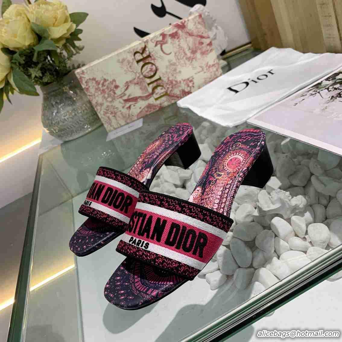 Perfect Christian Dior Slippers For Women #738081