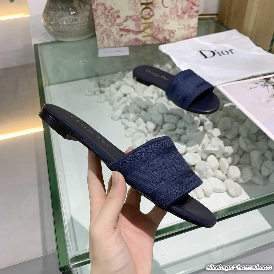 Luxury Christian Dior Slippers For Women #738083