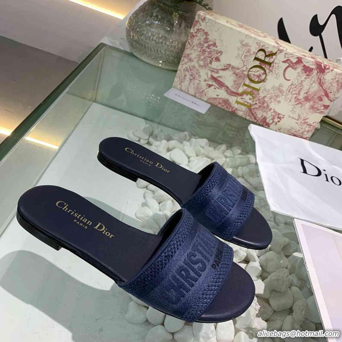 Luxury Christian Dior Slippers For Women #738083