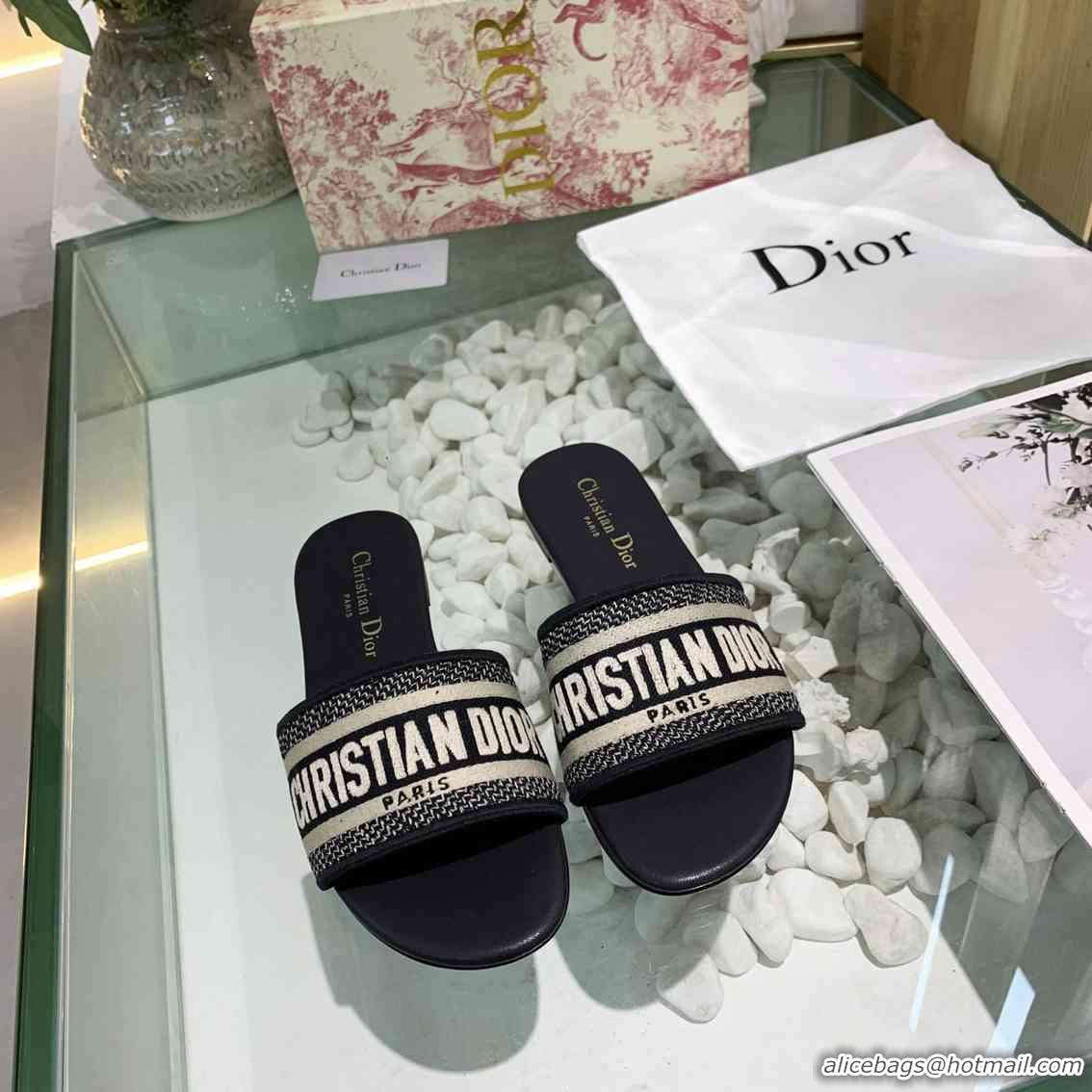 Pretty Style Christian Dior Slippers For Women #738086