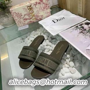 Good Quality Christian Dior Slippers For Women #738089