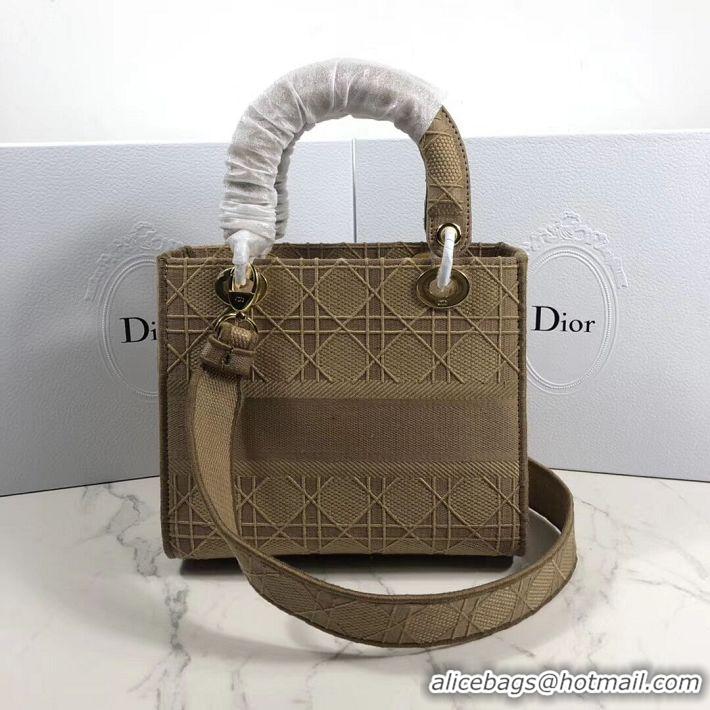 Pretty Style LADY DIOR TOTE BAG IN EMBROIDERED CANVAS C4532 apricot