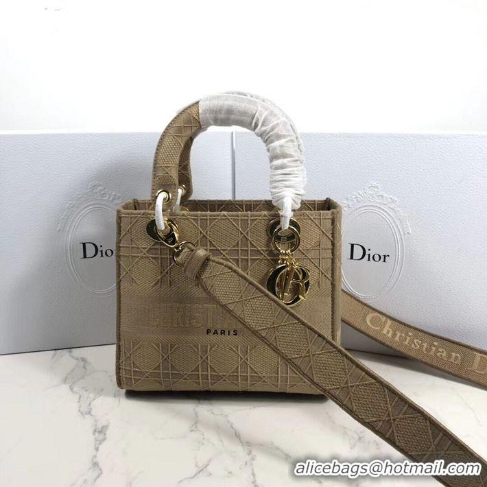 Pretty Style LADY DIOR TOTE BAG IN EMBROIDERED CANVAS C4532 apricot