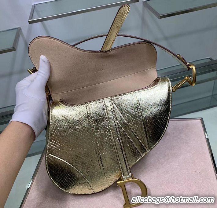 Inexpensive Dior SADDLE-TAS VAN KALFSLEER PYTHON LEATHER Bag M0446C Gold