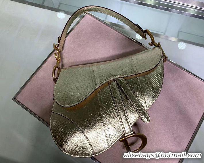 Inexpensive Dior SADDLE-TAS VAN KALFSLEER PYTHON LEATHER Bag M0446C Gold