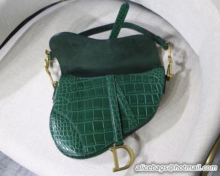 Top Quality Dior SADDLE SOFT CALFSKIN BAG C9045 green