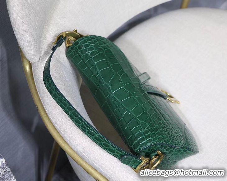 Top Quality Dior SADDLE SOFT CALFSKIN BAG C9045 green