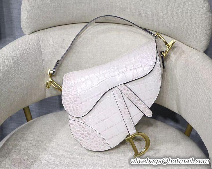 Cheap Price Dior SADDLE SOFT CALFSKIN BAG C9045 white