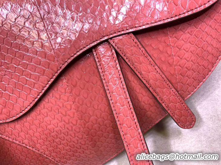 Chic Reproduction Dior SADDLE Snake skin tote C9046 pink