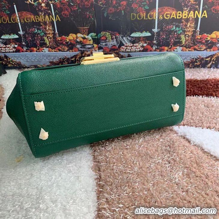 Famous Brand Dolce & Gabbana Origianl Leather Bag 4131 green