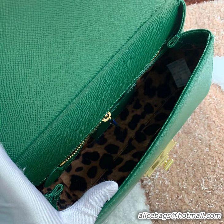 Famous Brand Dolce & Gabbana Origianl Leather Bag 4131 green