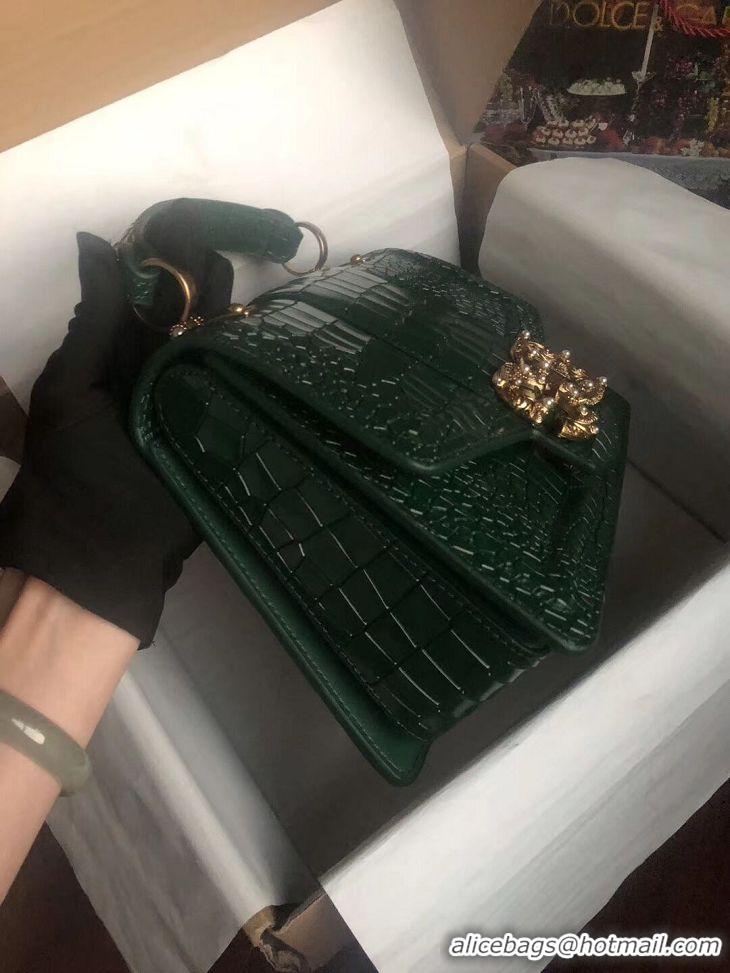 Grade Quality Dolce & Gabbana Origianl Crocodile Leather Bag 4916E Blackish green