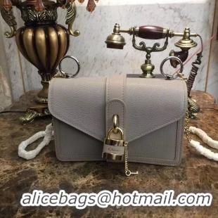 Free Shipping Discount Chloe Original Calfskin Leather Bag 3S068 grey