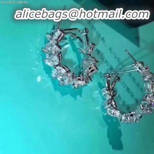 Famous Brand TIFFANY Earrings CE2338