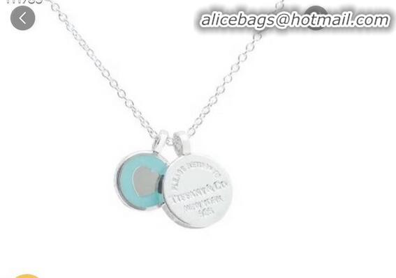 Shop AAAAA Duplicate TIFFANY Necklace CE4083