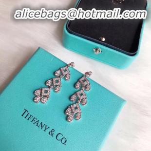 Market Sells Inexpensive TIFFANY Earrings CE4492