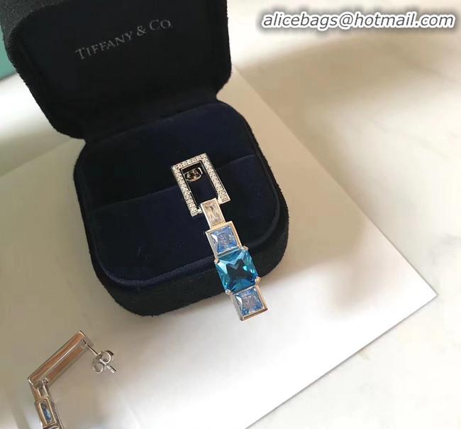 Top Design TIFFANY Earrings CE4512