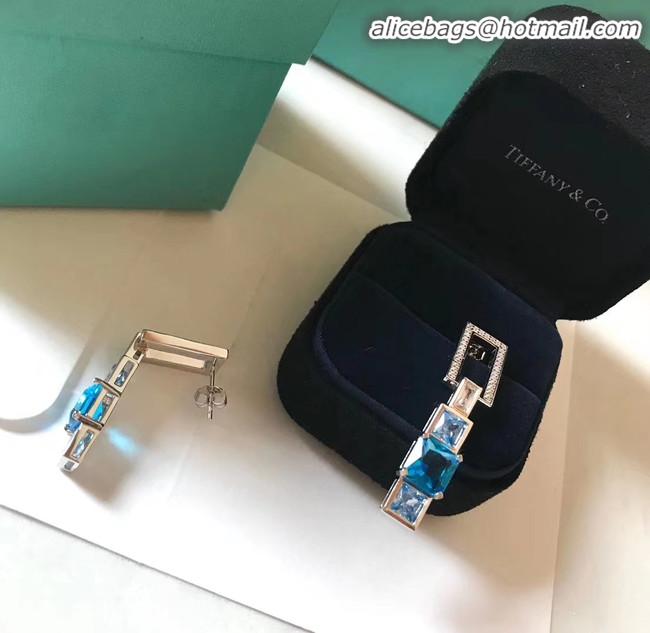 Top Design TIFFANY Earrings CE4512