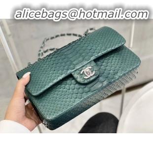 Grade Quality Chanel 2.55 Series Flap Bag Original Snake Leather AP1112 Green Silver