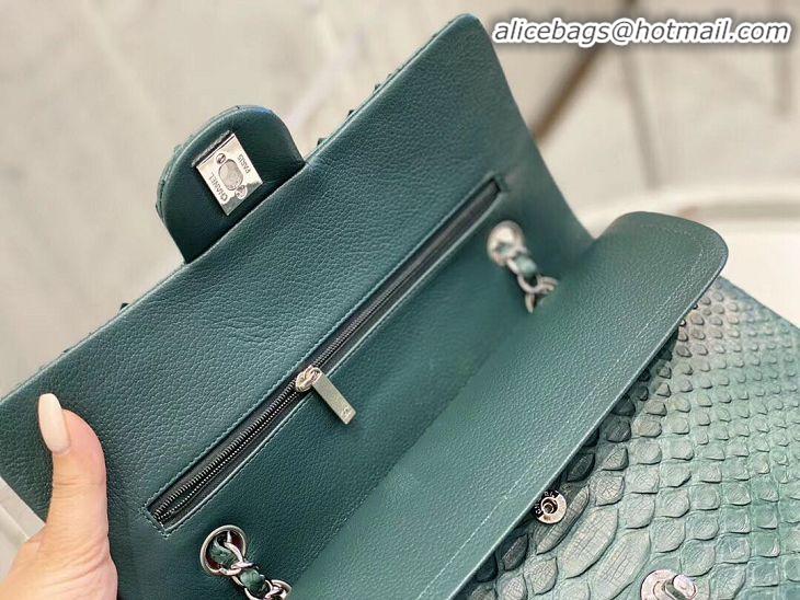 Grade Quality Chanel 2.55 Series Flap Bag Original Snake Leather AP1112 Green Silver